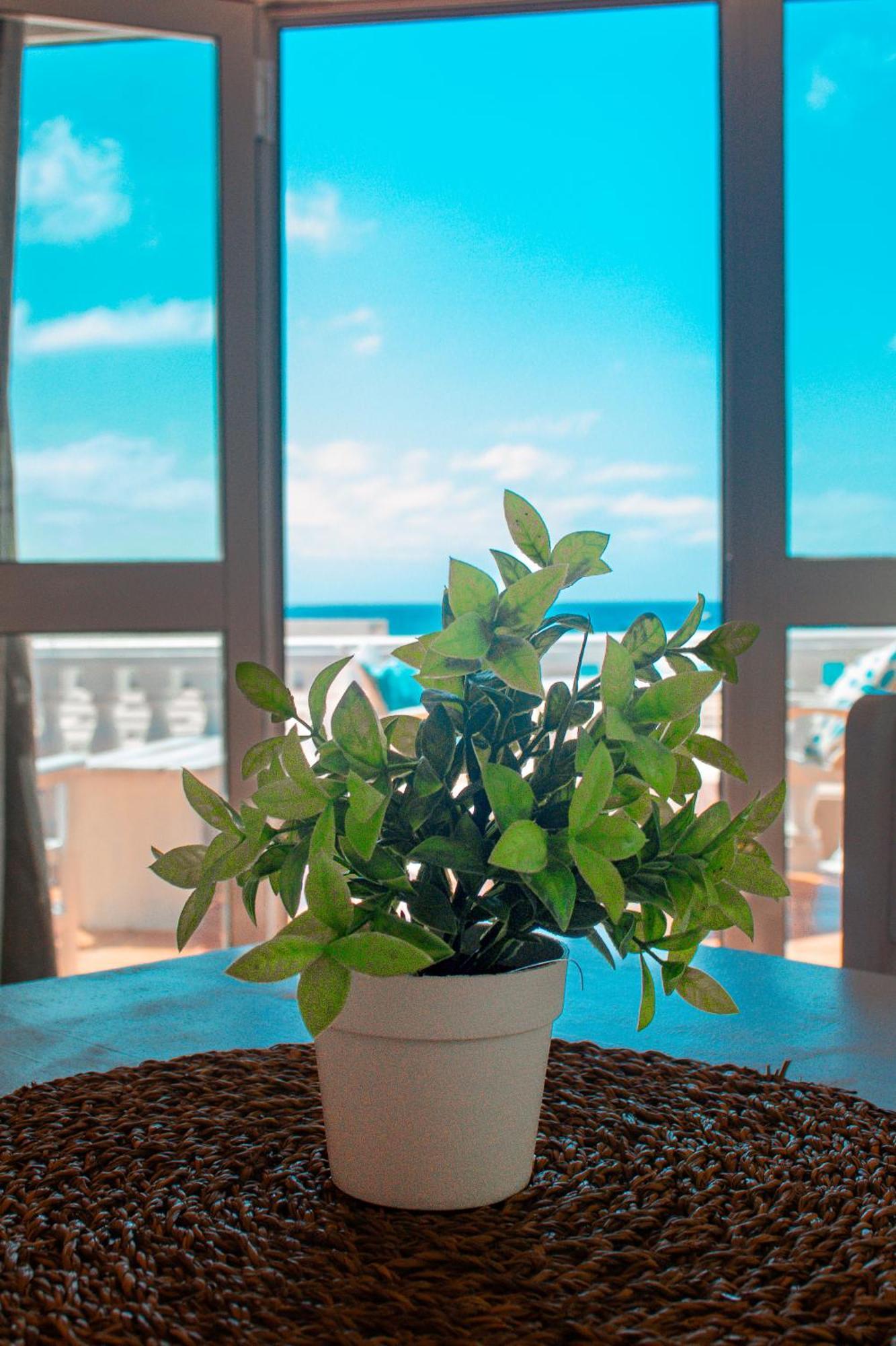 Vista Mar - Seafront Holiday Apartments Santa Maria Luaran gambar